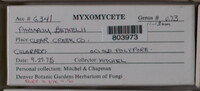 Image Associated With the Occurence
